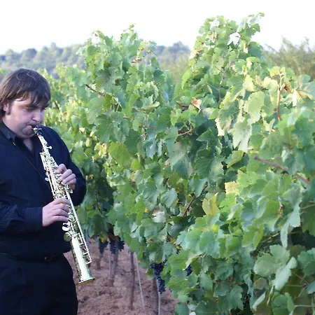 Magnanimvs Zajazd 3*