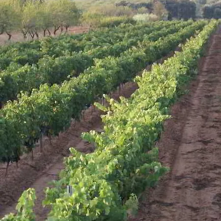 Zajazd Magnanimvs 3*