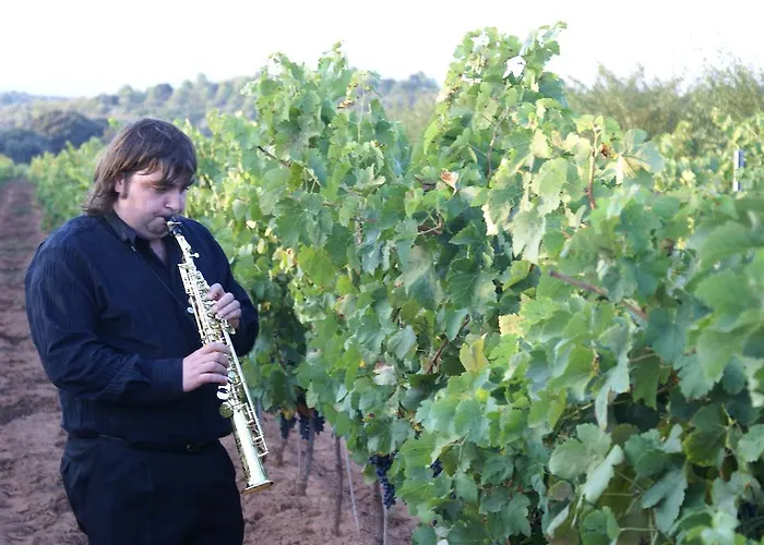 Magnanimvs Мини-отель 3*