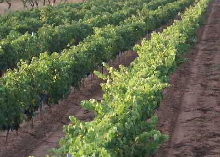 Мини-отель Magnanimvs 3*