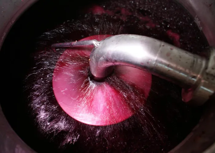 Мини-отель Magnanimvs 3*
