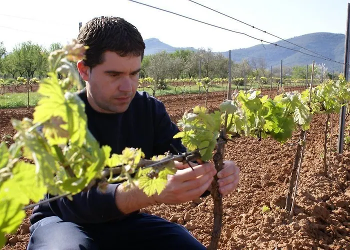 Мини-отель Magnanimvs