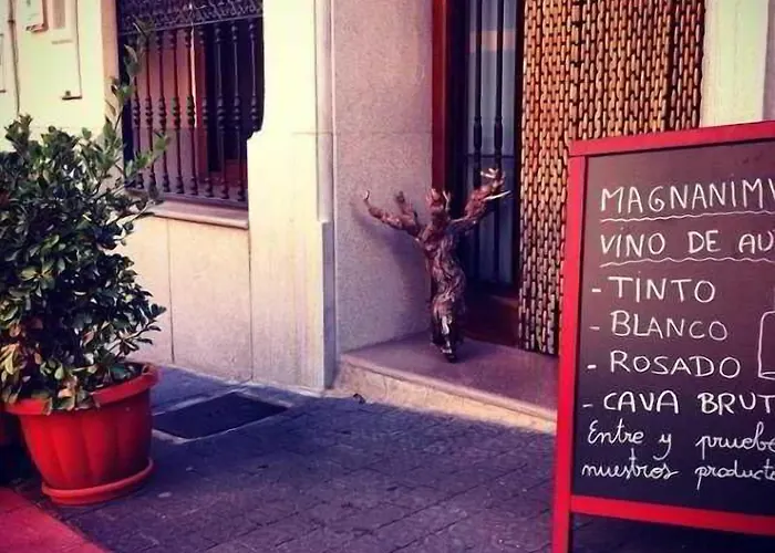 Мини-отель Magnanimvs 3*