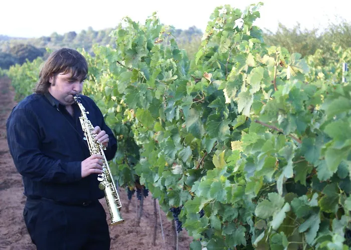 Мини-отель Magnanimvs